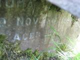 image of grave number 443575
